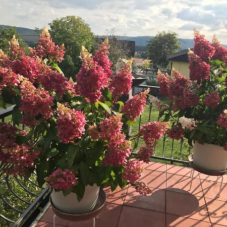 Haus Buena Vista Hotell Bad Kissingen Eksteriør bilde