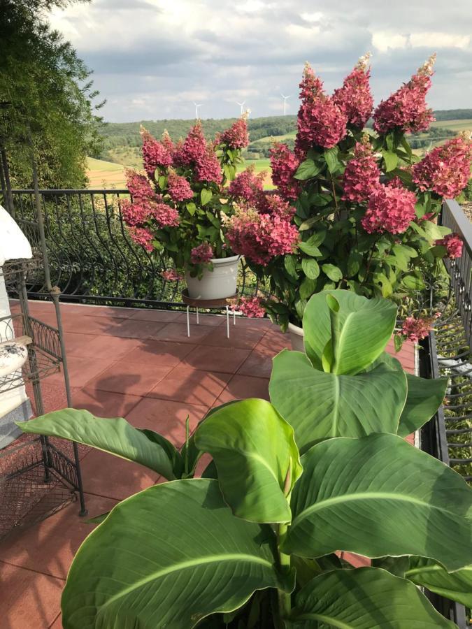 Haus Buena Vista Hotell Bad Kissingen Eksteriør bilde