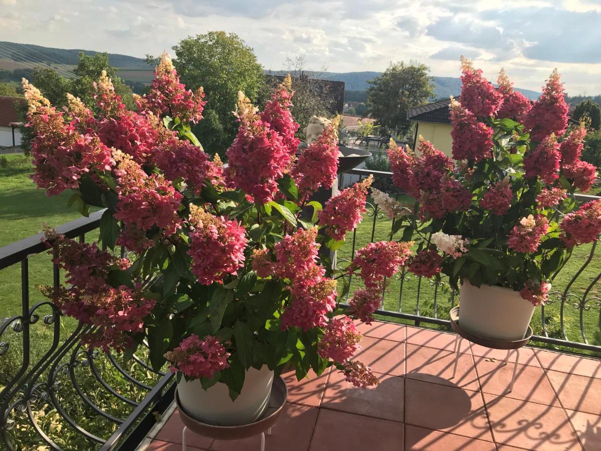 Haus Buena Vista Hotell Bad Kissingen Eksteriør bilde